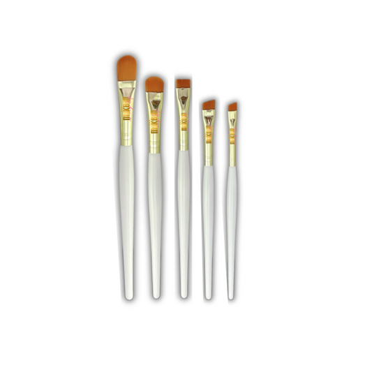 5 piece artist concealer brush set
